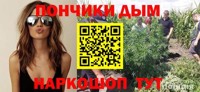 гидра Будённовск