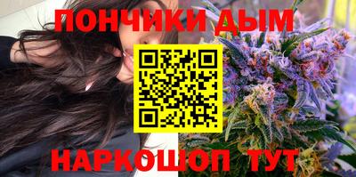 гидра Будённовск